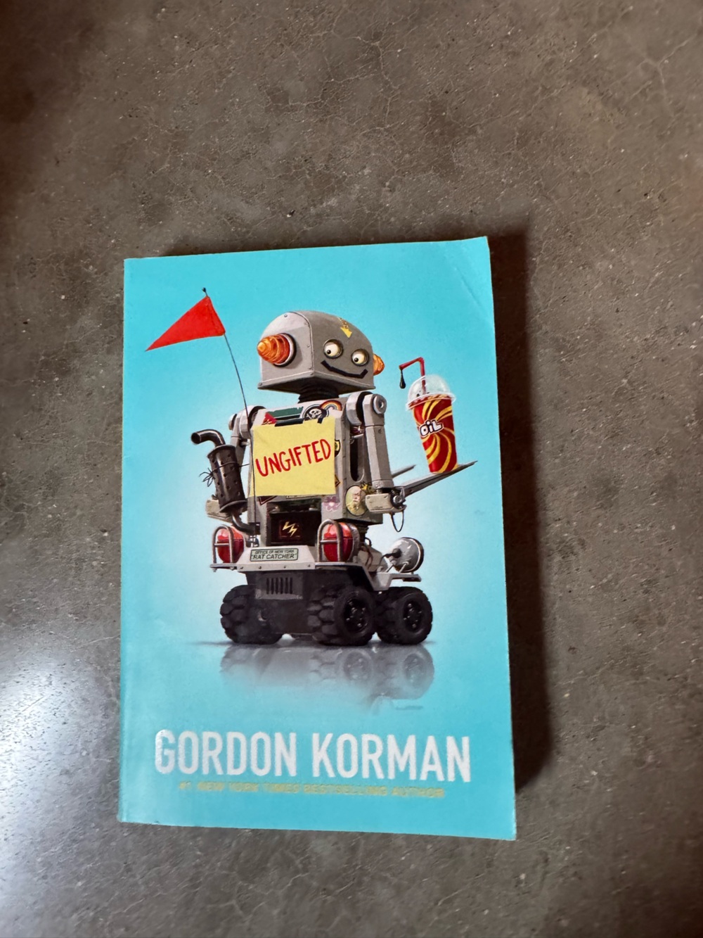 Ungifted book